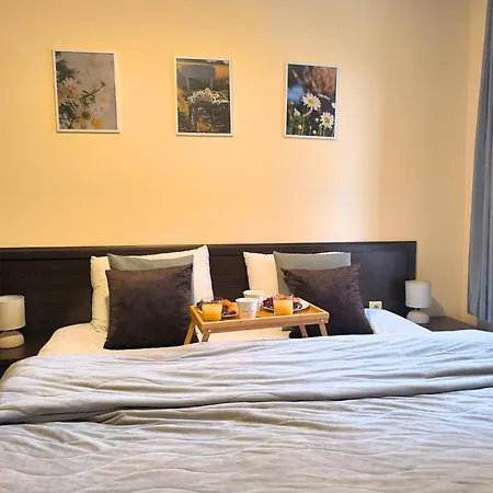 Mountain Heaven Retreat Close To Gondola, Free Parking Apartment